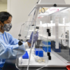 Researcher working in the lab