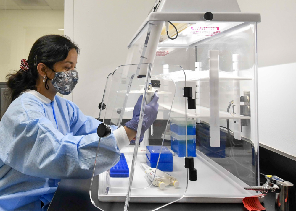 Researcher working in the lab